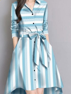 Dex Stylish Cotton Western Wear D1  Western Wear